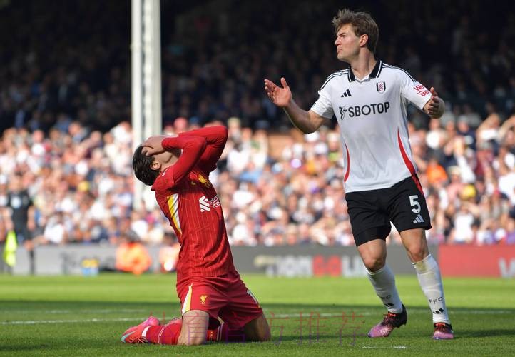 第20轮：富勒姆VS利物浦